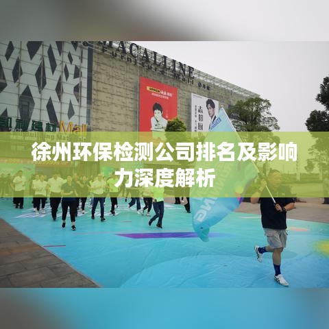 徐州环保检测公司排名及影响力深度解析