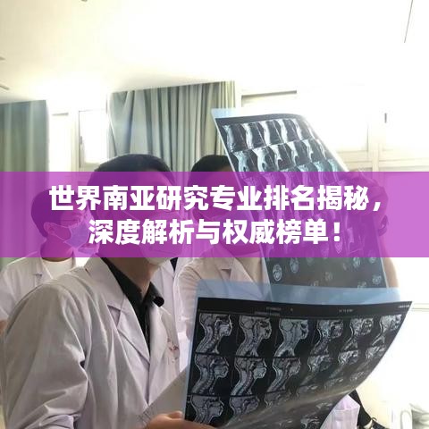 世界南亚研究专业排名揭秘，深度解析与权威榜单！