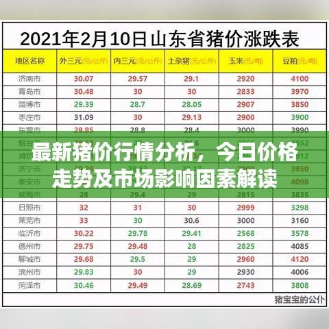 最新猪价行情分析，今日价格走势及市场影响因素解读