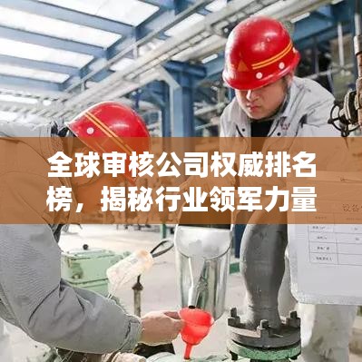 全球审核公司权威排名榜，揭秘行业领军力量