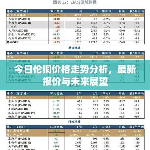 龙飞九五