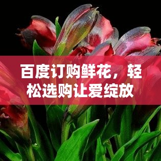 百度订购鲜花，轻松选购让爱绽放！