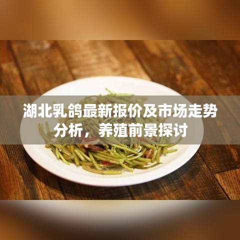 新闻中心 第322页