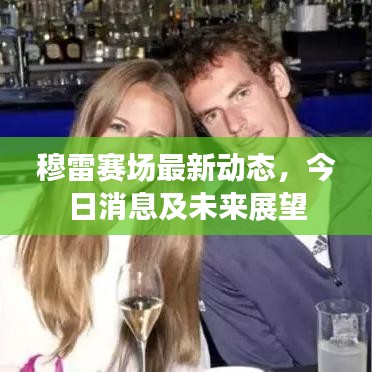 穆雷赛场最新动态，今日消息及未来展望