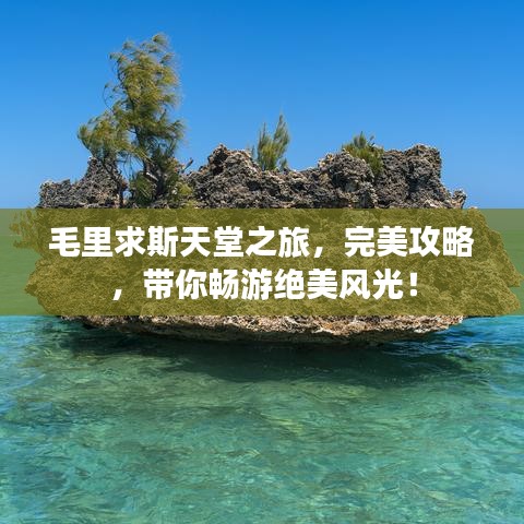 插翅难飞