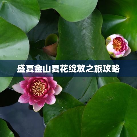屦贱踊贵