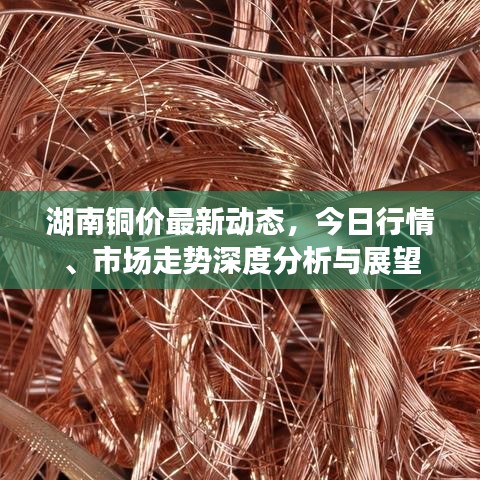 仪态万方