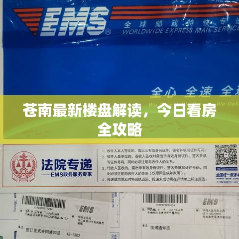 苍南最新楼盘解读，今日看房全攻略