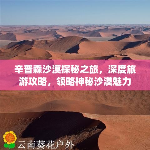 辛普森沙漠探秘之旅，深度旅游攻略，领略神秘沙漠魅力