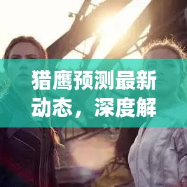 猎鹰预测最新动态，深度解析与前瞻展望