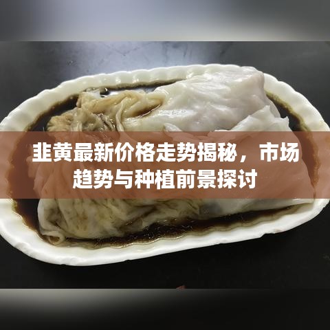 韭黄最新价格走势揭秘，市场趋势与种植前景探讨