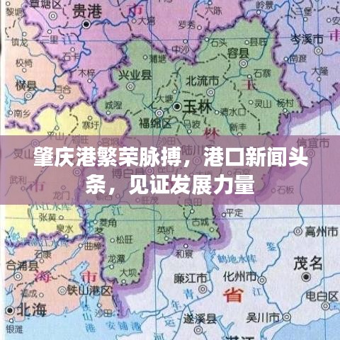 肇庆港繁荣脉搏，港口新闻头条，见证发展力量