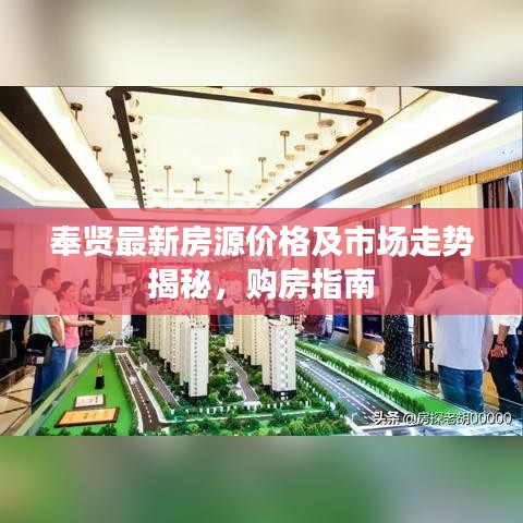 奉贤最新房源价格及市场走势揭秘，购房指南