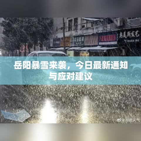岳阳暴雪来袭，今日最新通知与应对建议