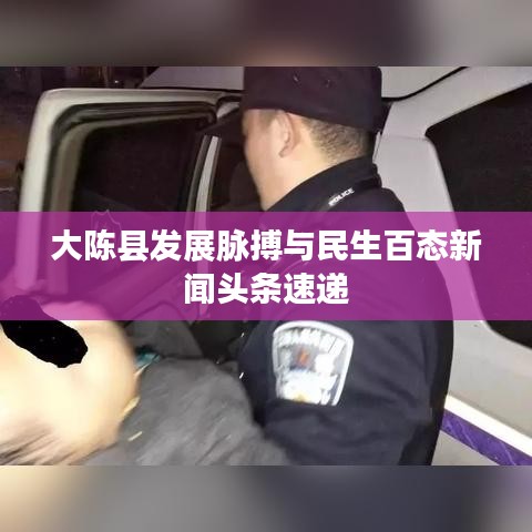 大陈县发展脉搏与民生百态新闻头条速递