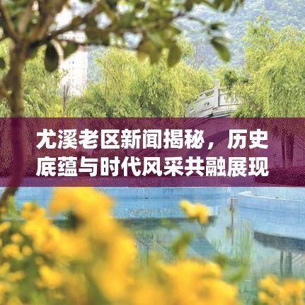 尤溪老区新闻揭秘，历史底蕴与时代风采共融展现