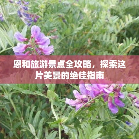 恩和旅游景点全攻略，探索这片美景的绝佳指南