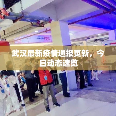 武汉最新疫情通报更新，今日动态速览