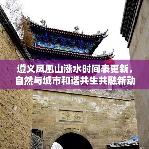 遵义凤凰山涨水时间表更新，自然与城市和谐共生共融新动态