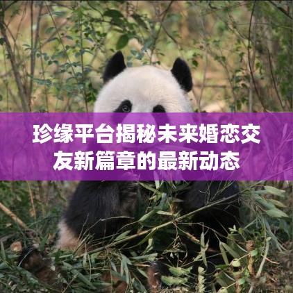珍缘平台揭秘未来婚恋交友新篇章的最新动态