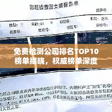 免费检测公司排名TOP10榜单揭晓，权威榜单深度揭示行业内幕！