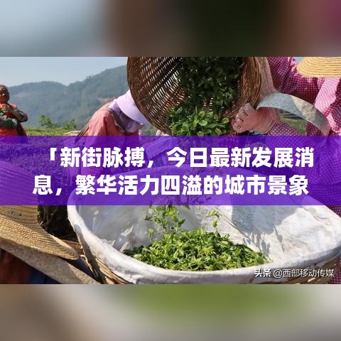「新街脉搏，今日最新发展消息，繁华活力四溢的城市景象速览」