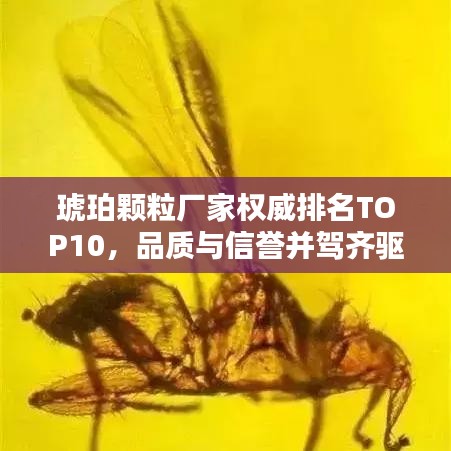 琥珀颗粒厂家权威排名TOP10，品质与信誉并驾齐驱的标杆