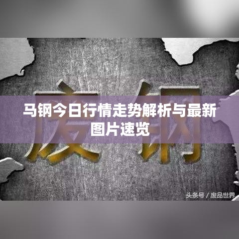 马钢今日行情走势解析与最新图片速览