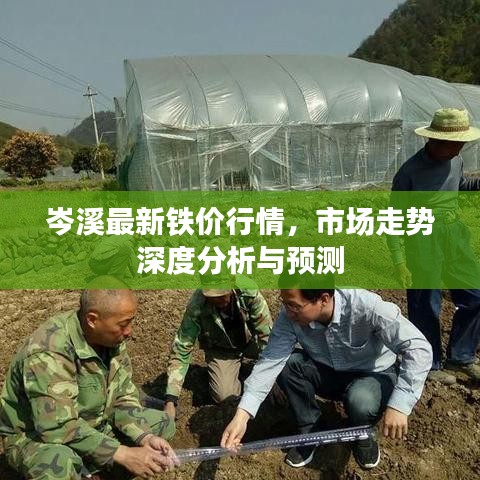 岑溪最新铁价行情，市场走势深度分析与预测