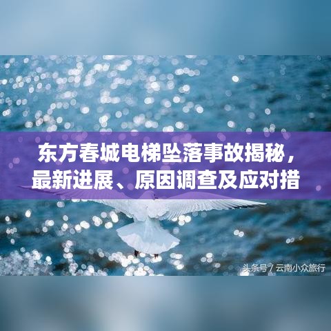 东方春城电梯坠落事故揭秘，最新进展、原因调查及应对措施