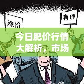 今日肥价行情大解析，市场走势、最新行情与预测