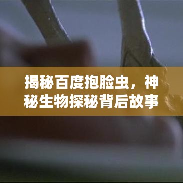 揭秘百度抱脸虫，神秘生物探秘背后故事