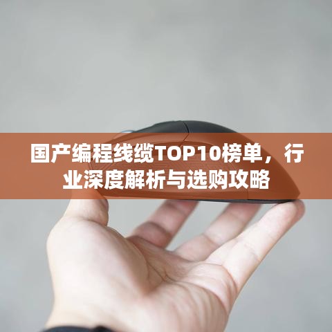 国产编程线缆TOP10榜单，行业深度解析与选购攻略