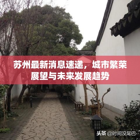 苏州最新消息速递，城市繁荣展望与未来发展趋势