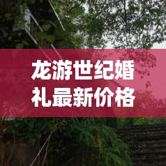 龙游世纪婚礼最新价格揭秘，为您的幸福婚礼保驾护航！