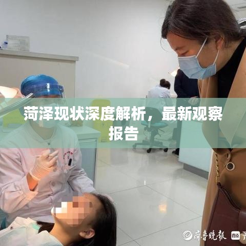 菏泽现状深度解析，最新观察报告