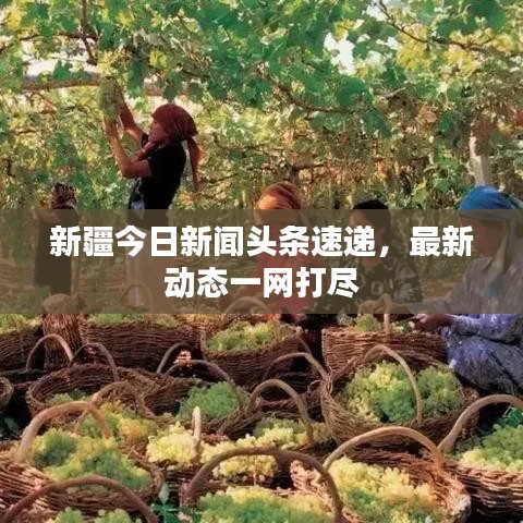新疆今日新闻头条速递，最新动态一网打尽