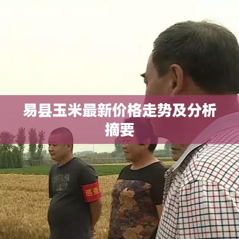 易县玉米最新价格走势及分析摘要