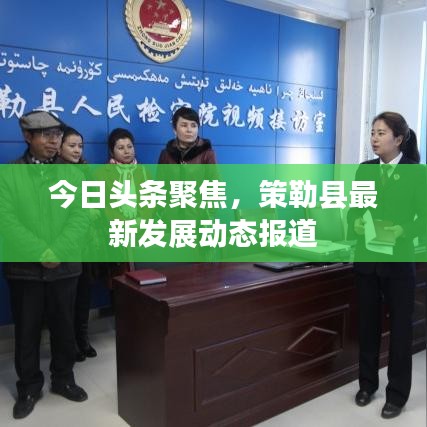 今日头条聚焦，策勒县最新发展动态报道
