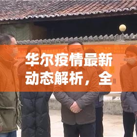 华尔疫情最新动态解析，全球态势、应对策略及今日分析