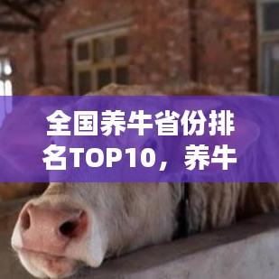 全国养牛省份排名TOP10，养牛业繁荣与潜力大揭秘