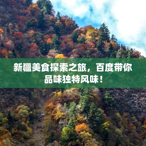 新疆美食探索之旅，百度带你品味独特风味！