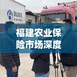 福建农业保险市场深度解读，农民保险公司排名及发展趋势分析