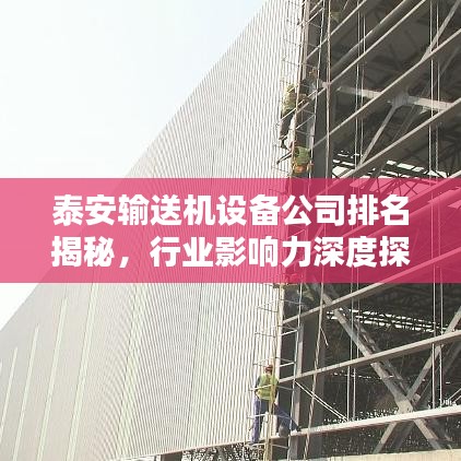 泰安输送机设备公司排名揭秘，行业影响力深度探讨