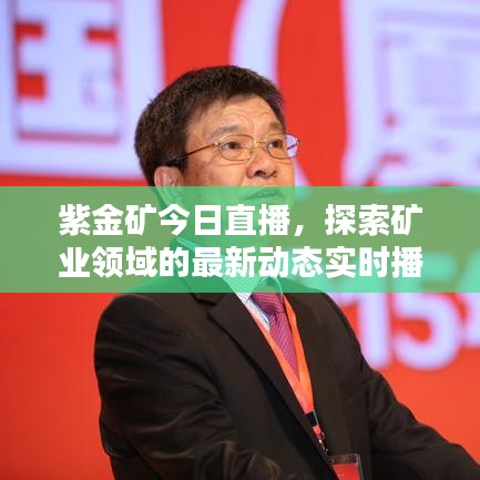 紫金矿今日直播，探索矿业领域的最新动态实时播报