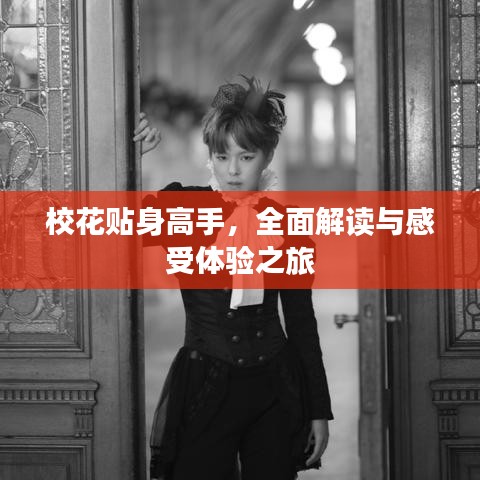 校花贴身高手，全面解读与感受体验之旅