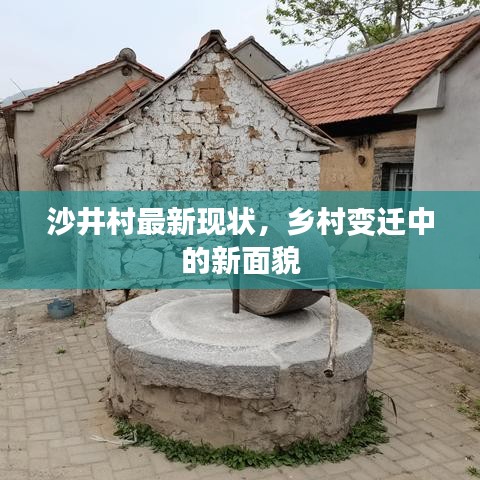 沙井村最新现状，乡村变迁中的新面貌