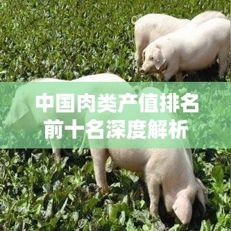 中国肉类产值排名前十名深度解析