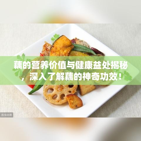 藕的营养价值与健康益处揭秘，深入了解藕的神奇功效！