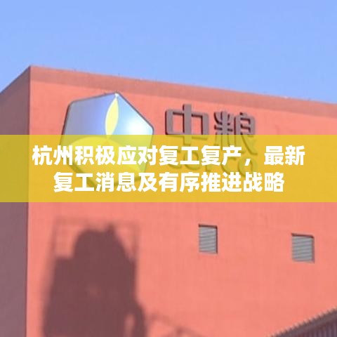 杭州积极应对复工复产，最新复工消息及有序推进战略